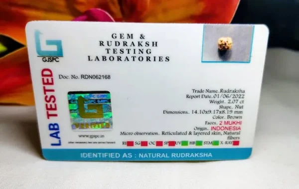 2 Mukhi Certificate
