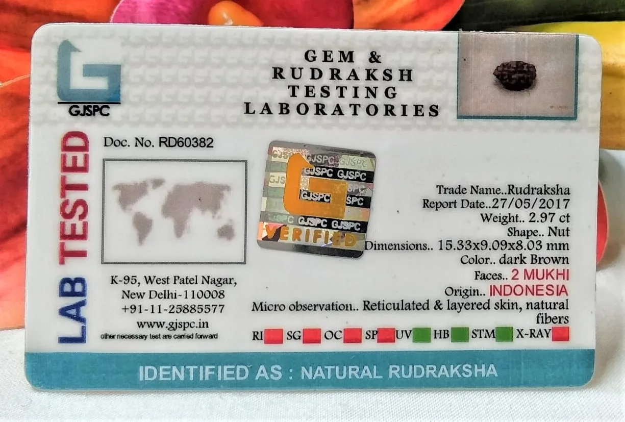 2 Mukhi Certificate