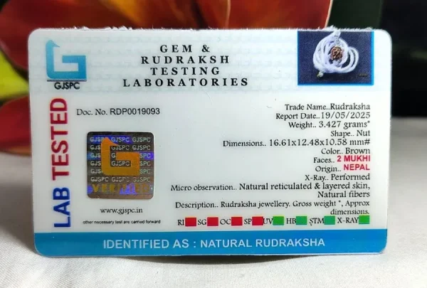2 Mukhi Certificate