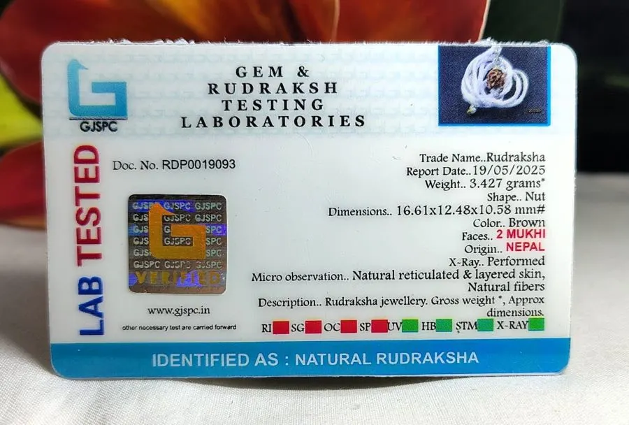 2 Mukhi Certificate
