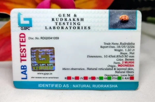 2 Mukhi Certificate