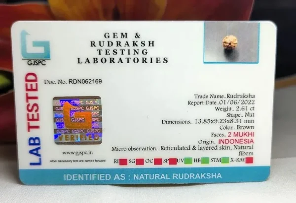 2 Mukhi Certificate