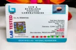 2 Mukhi Certificate
