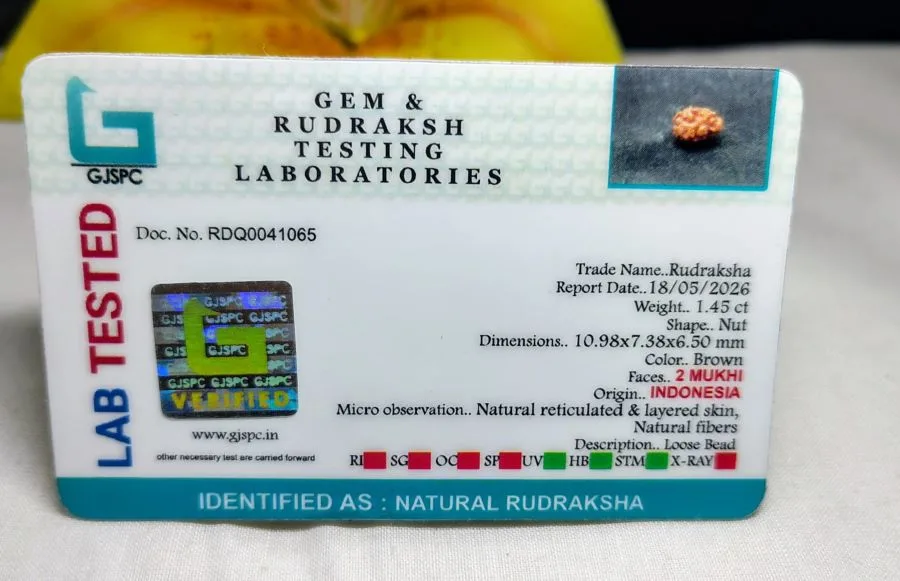 2 Mukhi Certificate