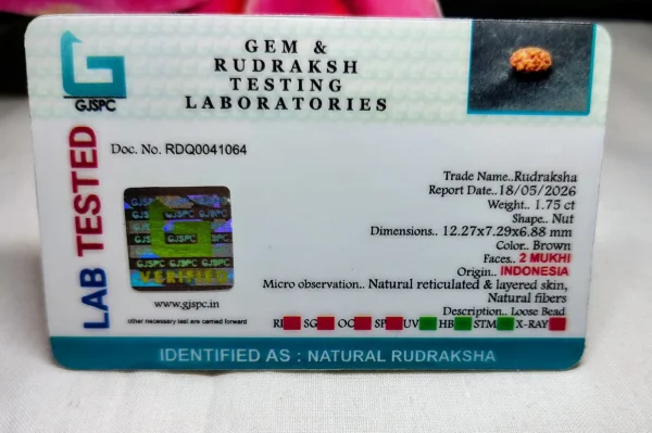 2 Mukhi Certificate