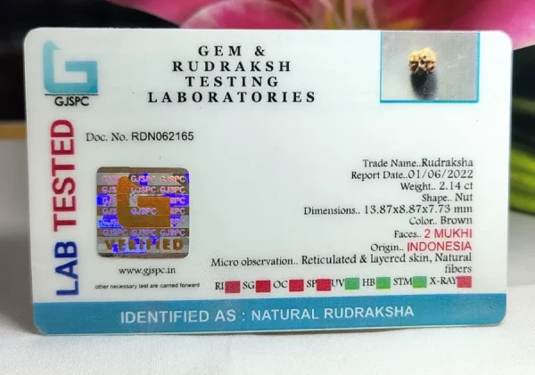 2 Mukhi Certificate