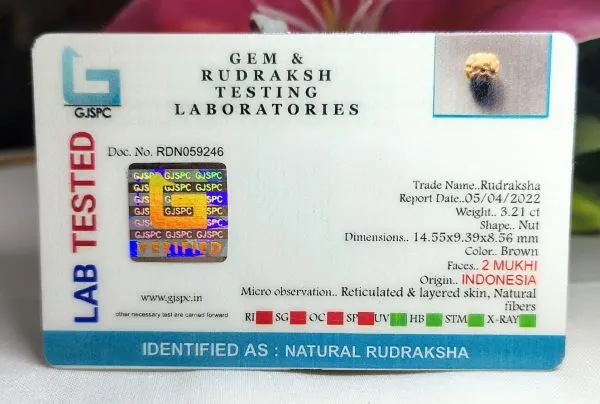 2 Mukhi Certificate