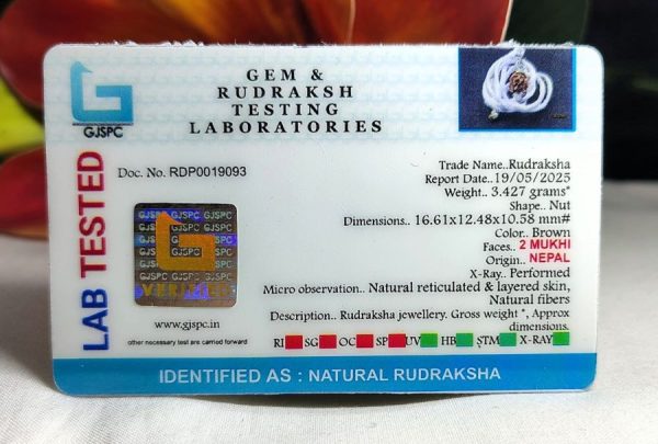 2 Mukhi Certificate