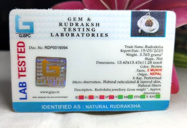 2 Mukhi Certificate