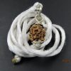 2 Mukhi Rudraksha