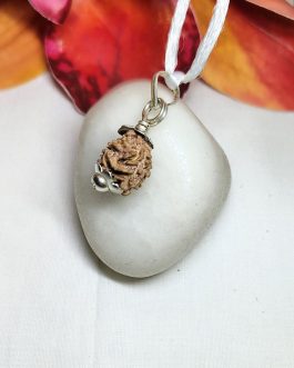 2 Mukhi Rudraksha