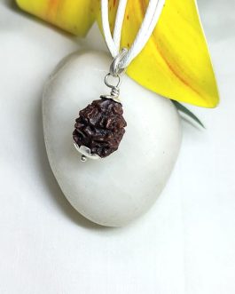 2 Mukhi Rudraksha