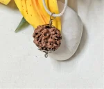 2 Mukhi Rudraksha