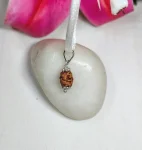 2 Mukhi Rudraksha