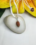 2 Mukhi Rudraksha