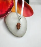2 Mukhi Rudraksha