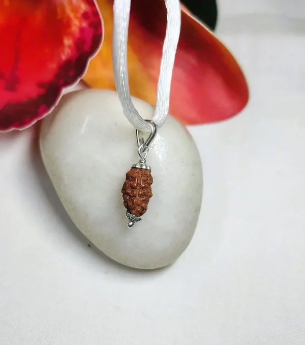 2 Mukhi Rudraksha
