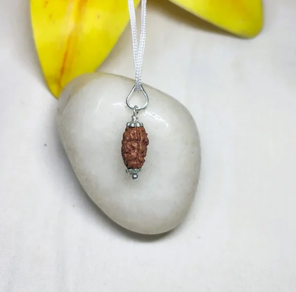 2 Mukhi Rudraksha