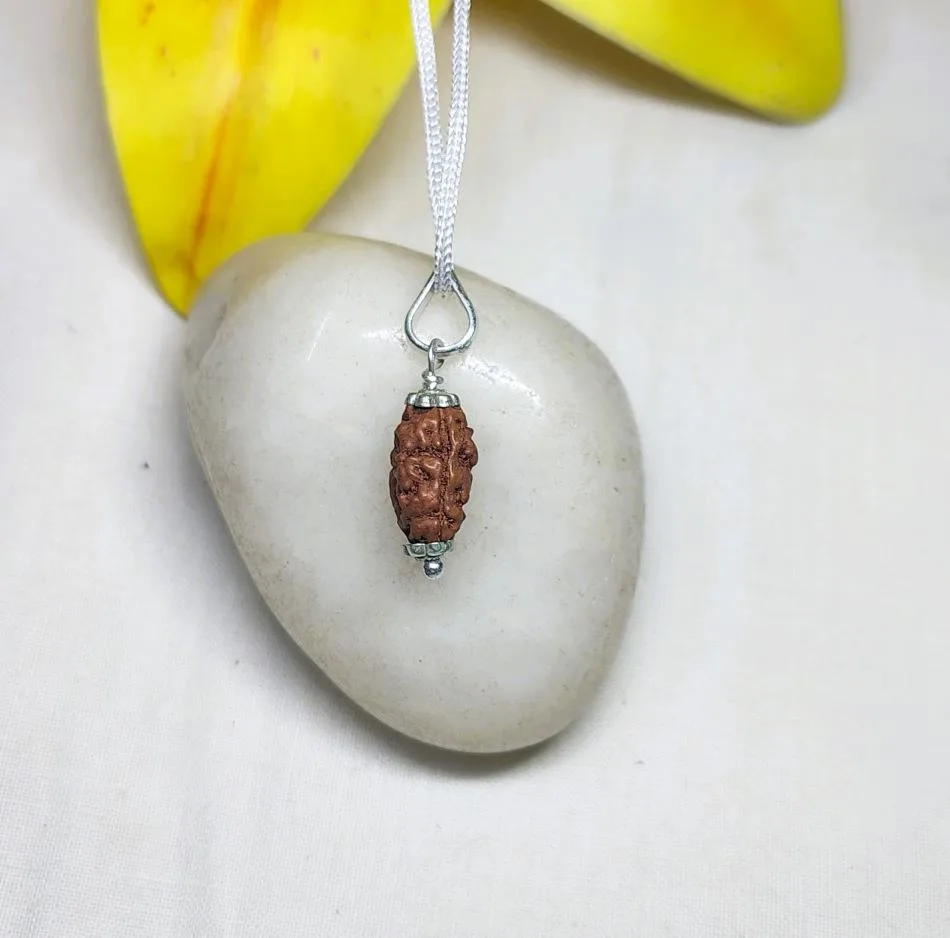 2 Mukhi Rudraksha