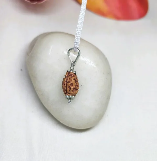 2 Mukhi Rudraksha