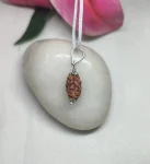 2 Mukhi Rudraksha