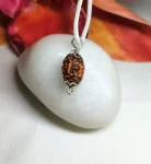 2 Mukhi Rudraksha