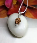 2 Mukhi Rudraksha