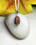 2 Mukhi Rudraksha