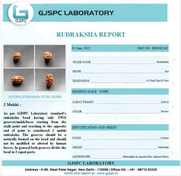 2 Mukhi Certificate