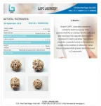 2 Mukhi Certificate