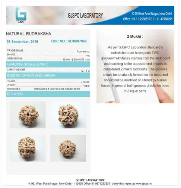 2 Mukhi Certificate