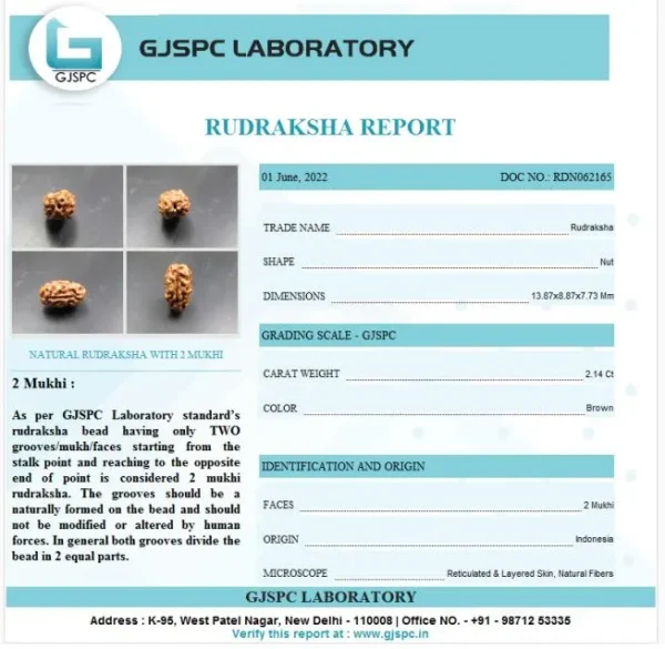 2 Mukhi Certificate
