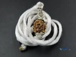 2 Mukhi Rudraksha