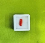 Red Coral