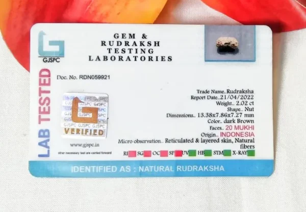 20 Mukhi Certificate