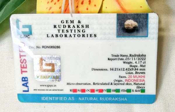 20 Mukhi Certificate