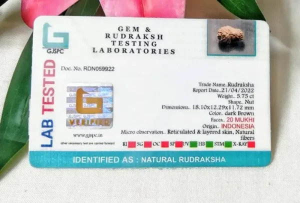 20 Mukhi Certificate