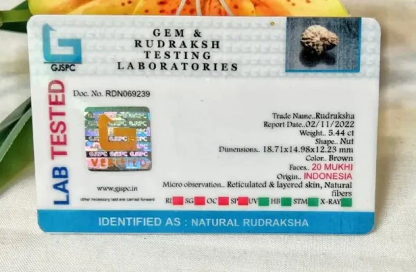 20 Mukhi Certificate