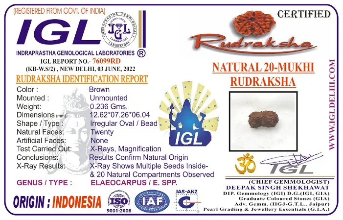 20 Mukhi Certificate