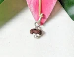 20 Mukhi Rudraksha