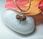 20 Mukhi Rudraksha