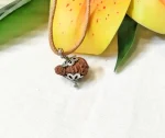 20 Mukhi Rudraksha