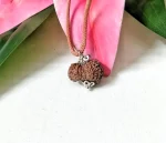 20 Mukhi Rudraksha