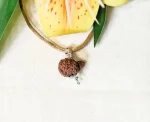 20 Mukhi Rudraksha