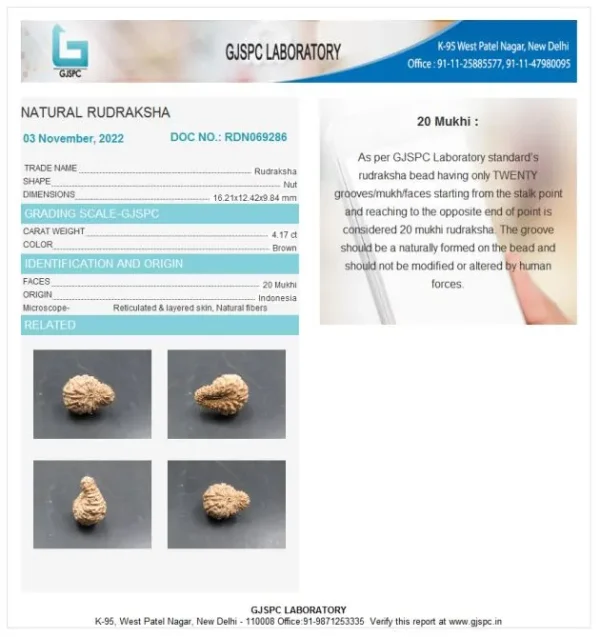 20 Mukhi Certificate