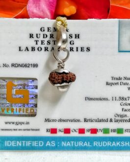 Lab tested 18 Mukhi Rudraksha Indonesia, 11.58mm size in silver pendant