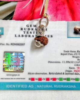 Lab tested 18 Mukhi Rudraksha Indonesia, 11.39mm size in silver pendant