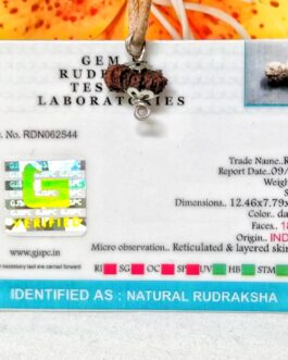 lab tested 18 Mukhi Rudraksha Indonesia 12.46mm in size, in silver pendant