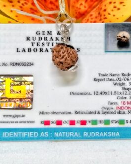 Lab tested 18 Mukhi Rudraksha Indonesia, 12.49mm size in silver pendant