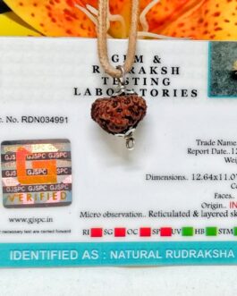 Lab tested18 Mukhi Rudraksha Indonesia 12.64mm in size, in silver pendant